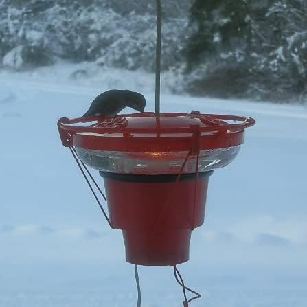 HH HUMMINGBIRD FEEDER HEATER